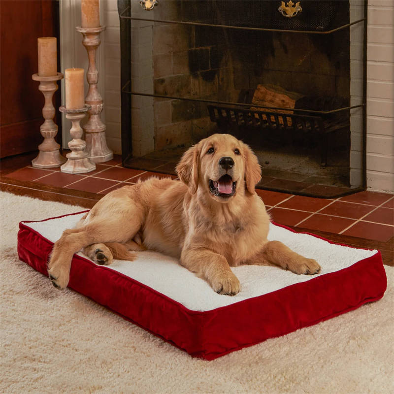 OSCAR ORTHOPEDIC DOG BED